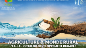 الفلاح مكناس 